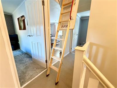 Picture 13